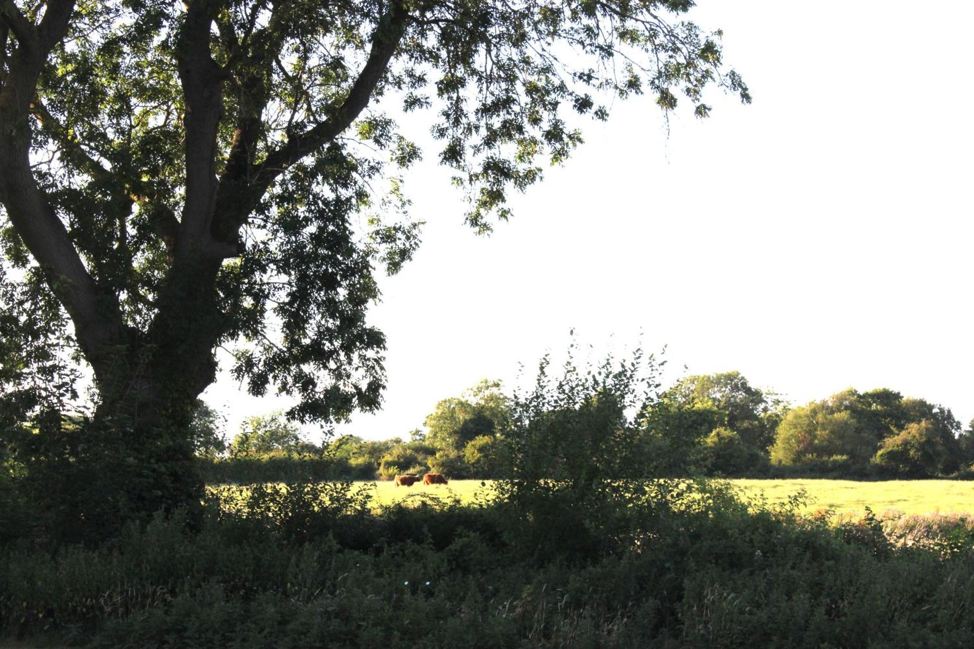The Willowford Milton Keynes Esterno foto